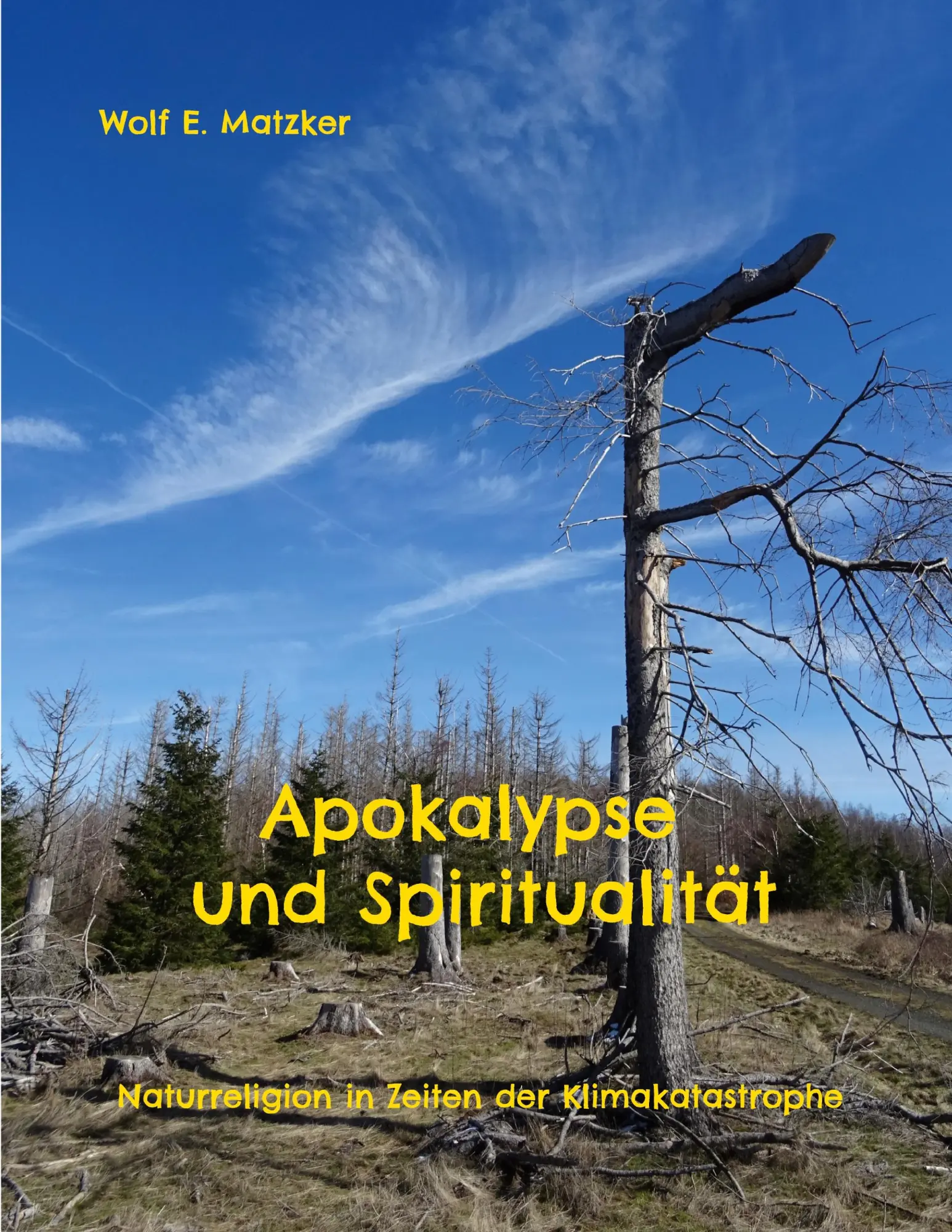 Cover: 9783769325164 | Apokalypse und Spiritualität | Wolf E. Matzker | Taschenbuch | 148 S.