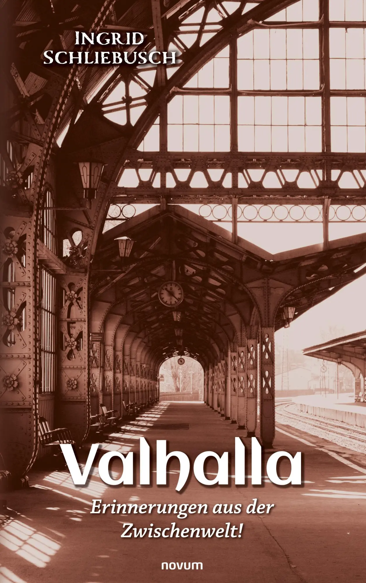 Cover: 9783991465164 | Valhalla - Erinnerungen aus der Zwischenwelt! | Ingrid Schliebusch