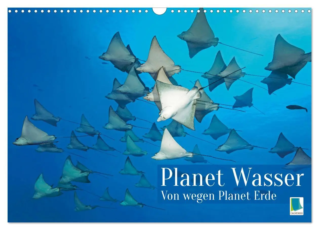 Cover: 9783457465264 | Planet Wasser: Von wegen Planet Erde (Wandkalender 2026 DIN A3...