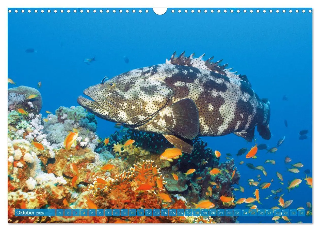 Bild: 9783457465264 | Planet Wasser: Von wegen Planet Erde (Wandkalender 2026 DIN A3...