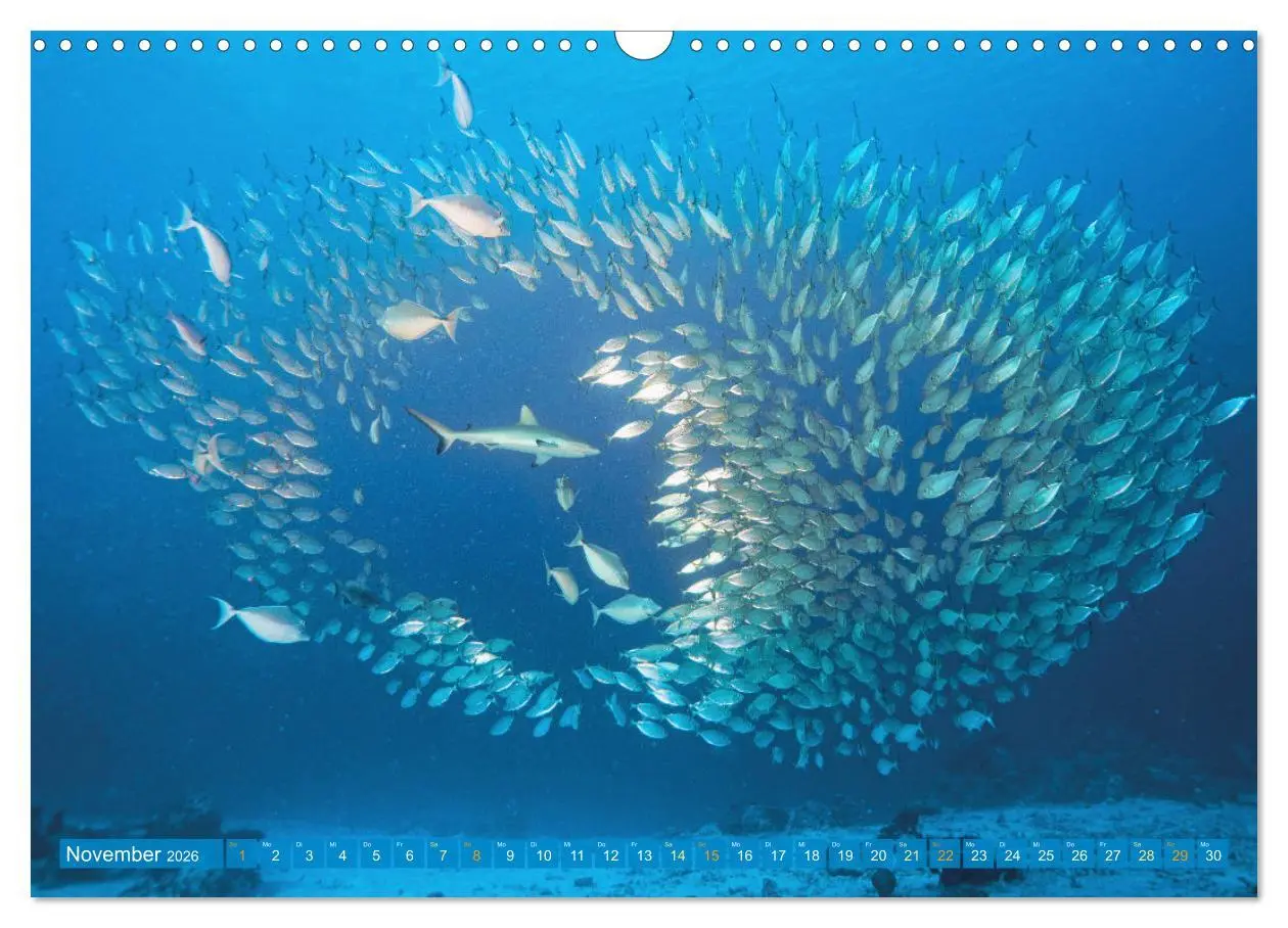 Bild: 9783457465264 | Planet Wasser: Von wegen Planet Erde (Wandkalender 2026 DIN A3...