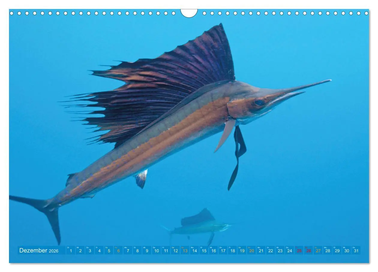 Bild: 9783457465264 | Planet Wasser: Von wegen Planet Erde (Wandkalender 2026 DIN A3...