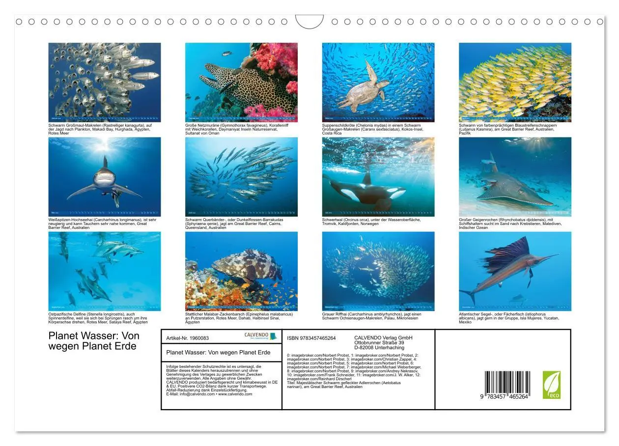 Bild: 9783457465264 | Planet Wasser: Von wegen Planet Erde (Wandkalender 2026 DIN A3...