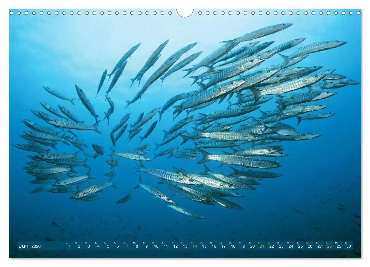 Bild: 9783457465264 | Planet Wasser: Von wegen Planet Erde (Wandkalender 2026 DIN A3...