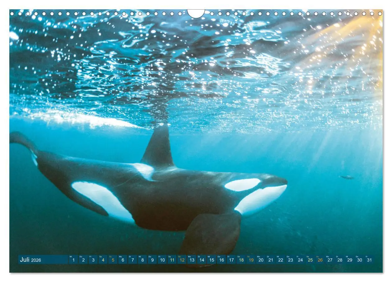 Bild: 9783457465264 | Planet Wasser: Von wegen Planet Erde (Wandkalender 2026 DIN A3...