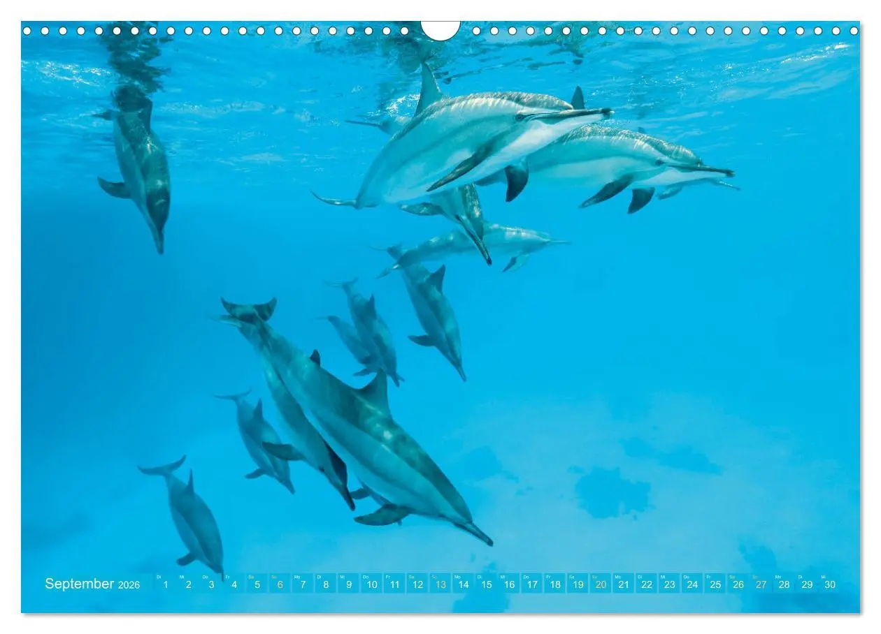 Bild: 9783457465264 | Planet Wasser: Von wegen Planet Erde (Wandkalender 2026 DIN A3...