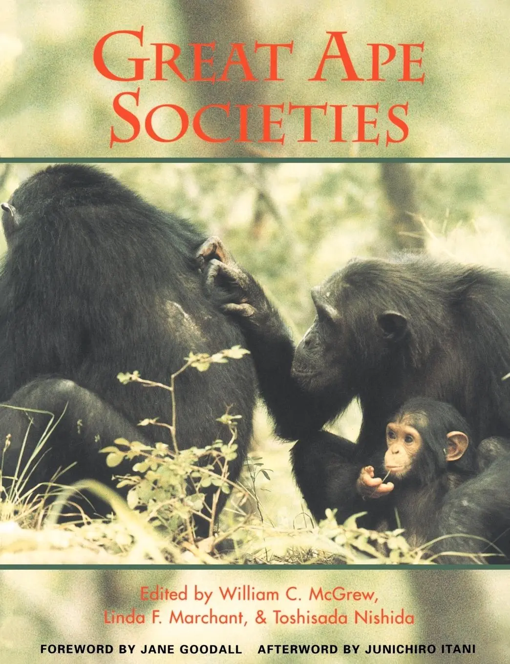 Cover: 9780521555364 | Great Ape Societies | W. C. McGrew (u. a.) | Taschenbuch | Englisch