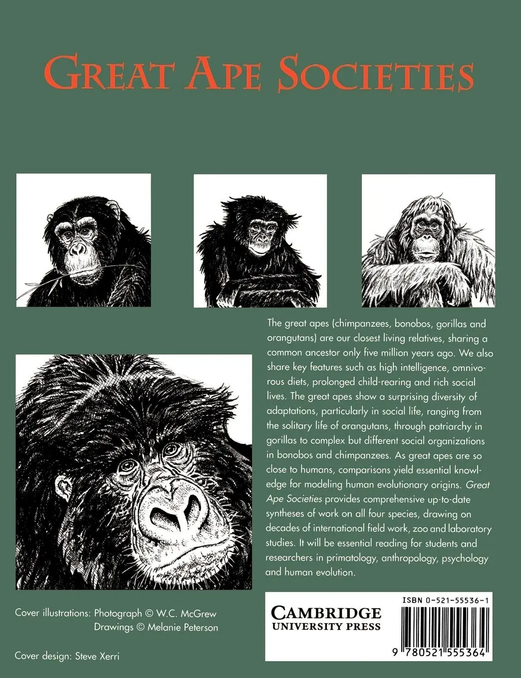 Rückseite: 9780521555364 | Great Ape Societies | W. C. McGrew (u. a.) | Taschenbuch | Englisch