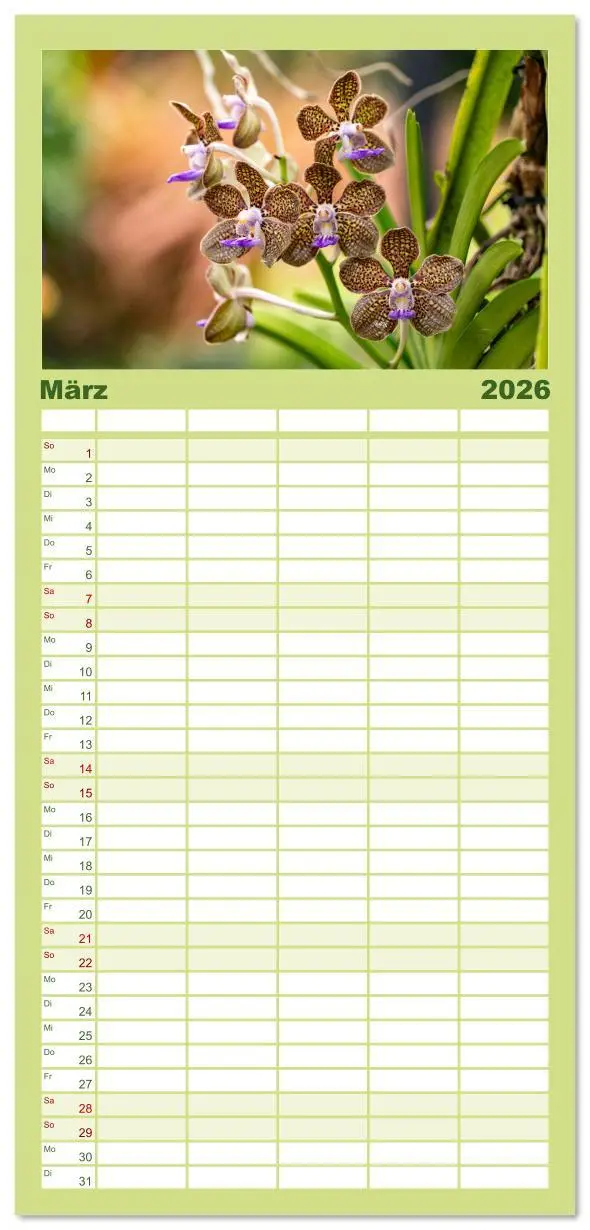 Bild: 9783516615364 | Familienplaner 2026 - Orchidaceae - Orchideen mit 5 Spalten...