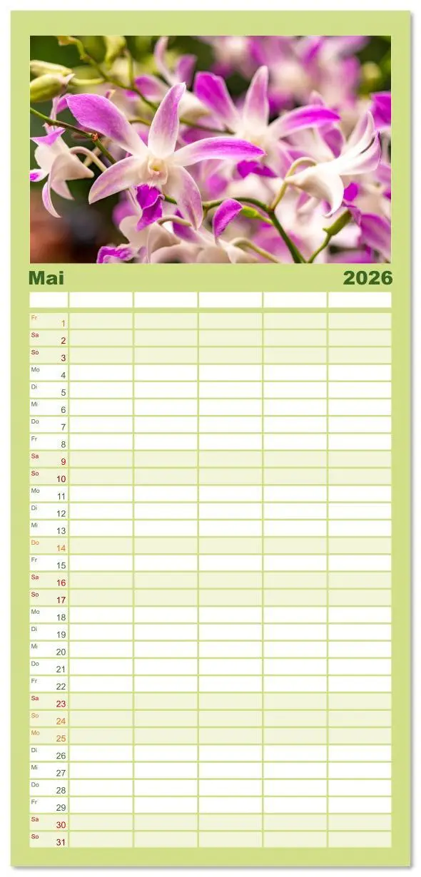 Bild: 9783516615364 | Familienplaner 2026 - Orchidaceae - Orchideen mit 5 Spalten...