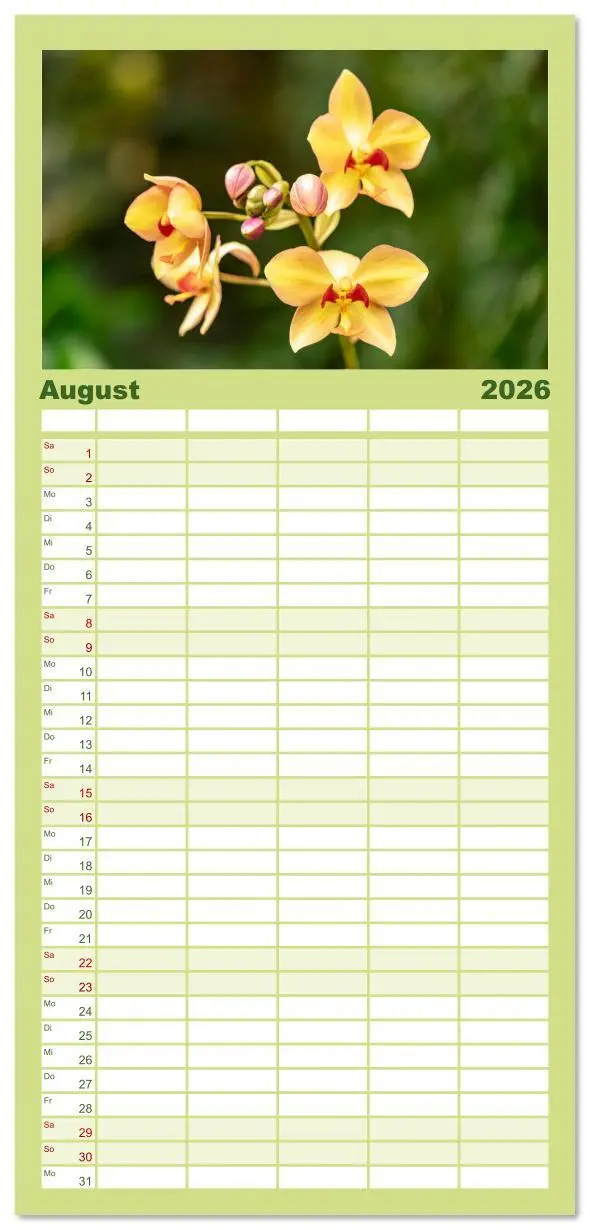 Bild: 9783516615364 | Familienplaner 2026 - Orchidaceae - Orchideen mit 5 Spalten...