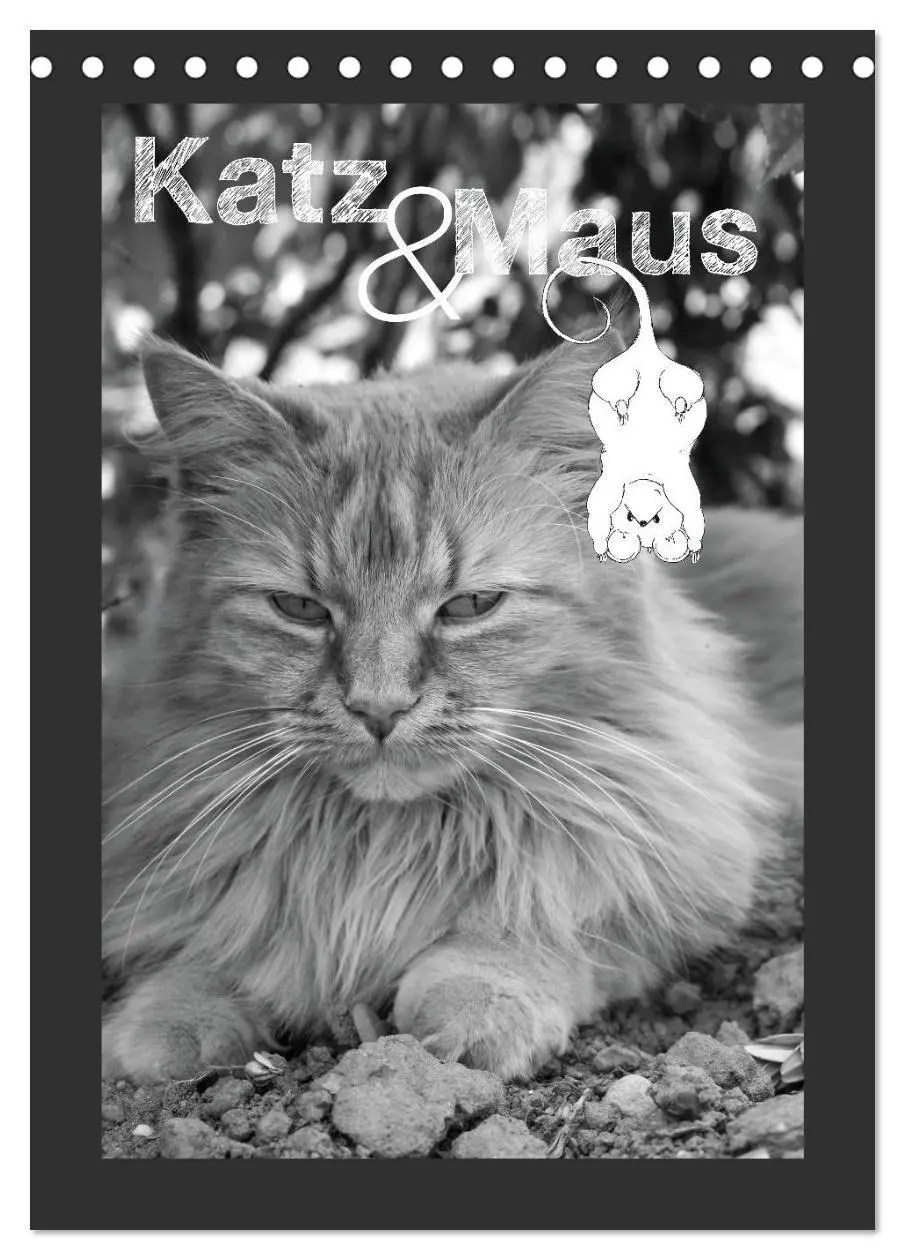 Cover: 9783594145364 | Katz &amp; Maus (Tischkalender 2027 DIN A5 hoch), CALVENDO Monatskalender