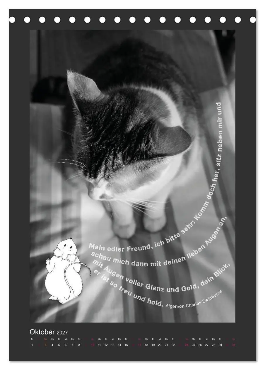 Bild: 9783594145364 | Katz &amp; Maus (Tischkalender 2027 DIN A5 hoch), CALVENDO Monatskalender