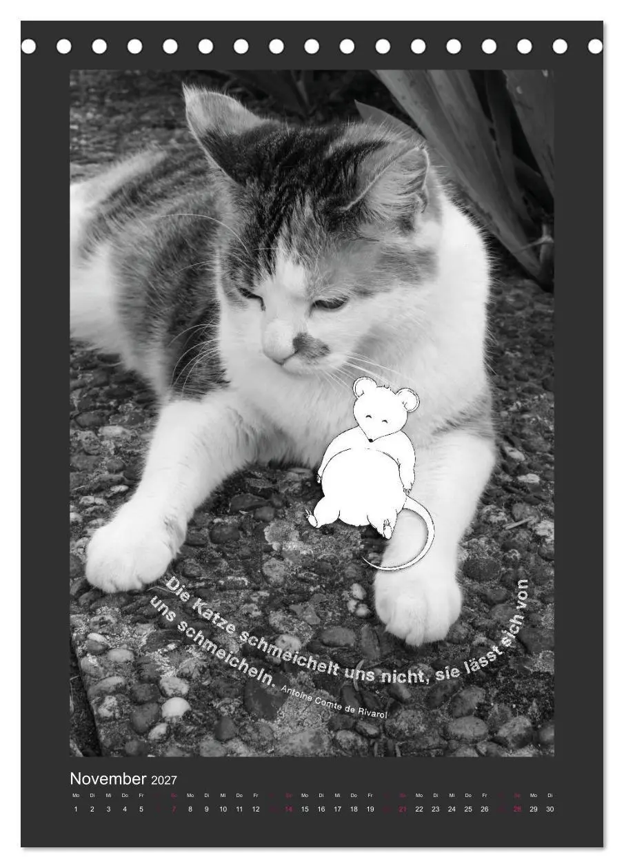 Bild: 9783594145364 | Katz &amp; Maus (Tischkalender 2027 DIN A5 hoch), CALVENDO Monatskalender