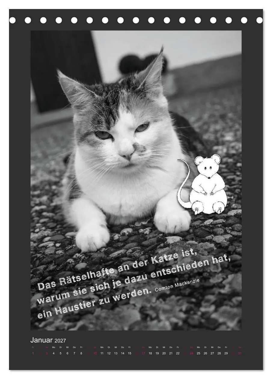 Bild: 9783594145364 | Katz &amp; Maus (Tischkalender 2027 DIN A5 hoch), CALVENDO Monatskalender