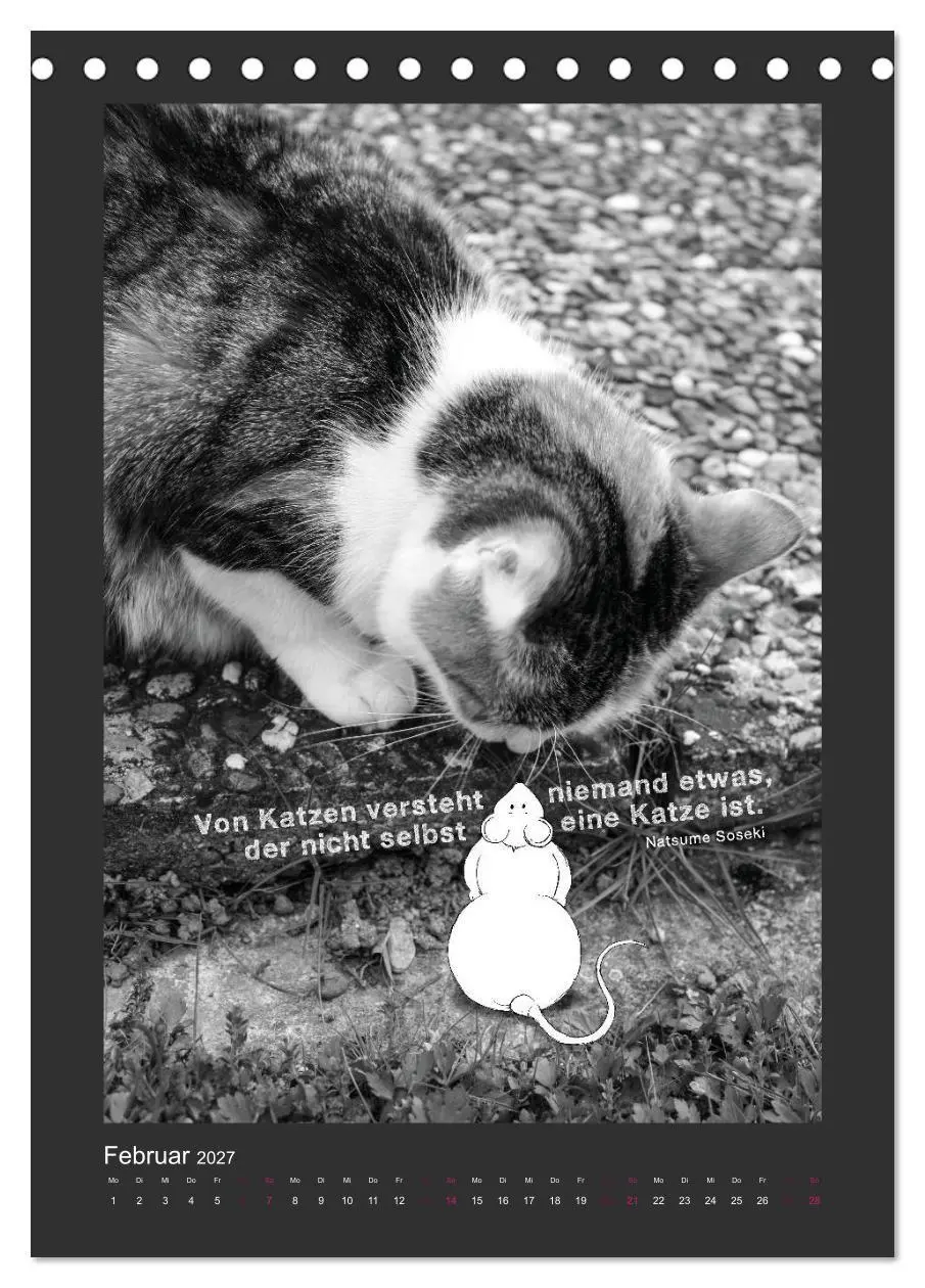 Bild: 9783594145364 | Katz &amp; Maus (Tischkalender 2027 DIN A5 hoch), CALVENDO Monatskalender