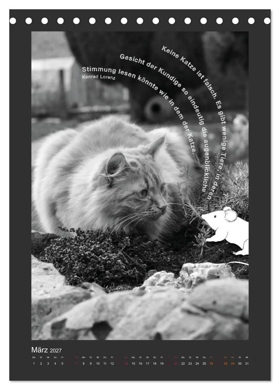 Bild: 9783594145364 | Katz &amp; Maus (Tischkalender 2027 DIN A5 hoch), CALVENDO Monatskalender