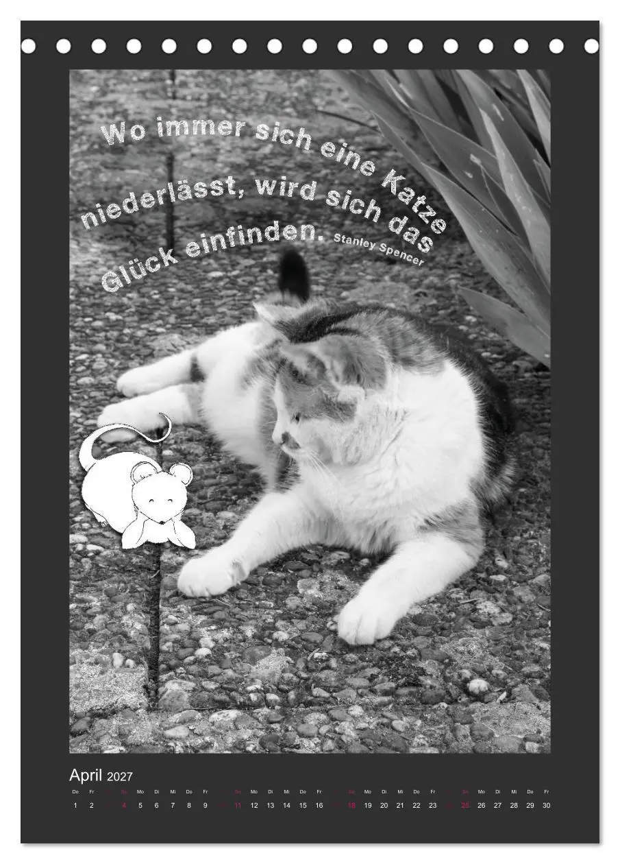 Bild: 9783594145364 | Katz &amp; Maus (Tischkalender 2027 DIN A5 hoch), CALVENDO Monatskalender