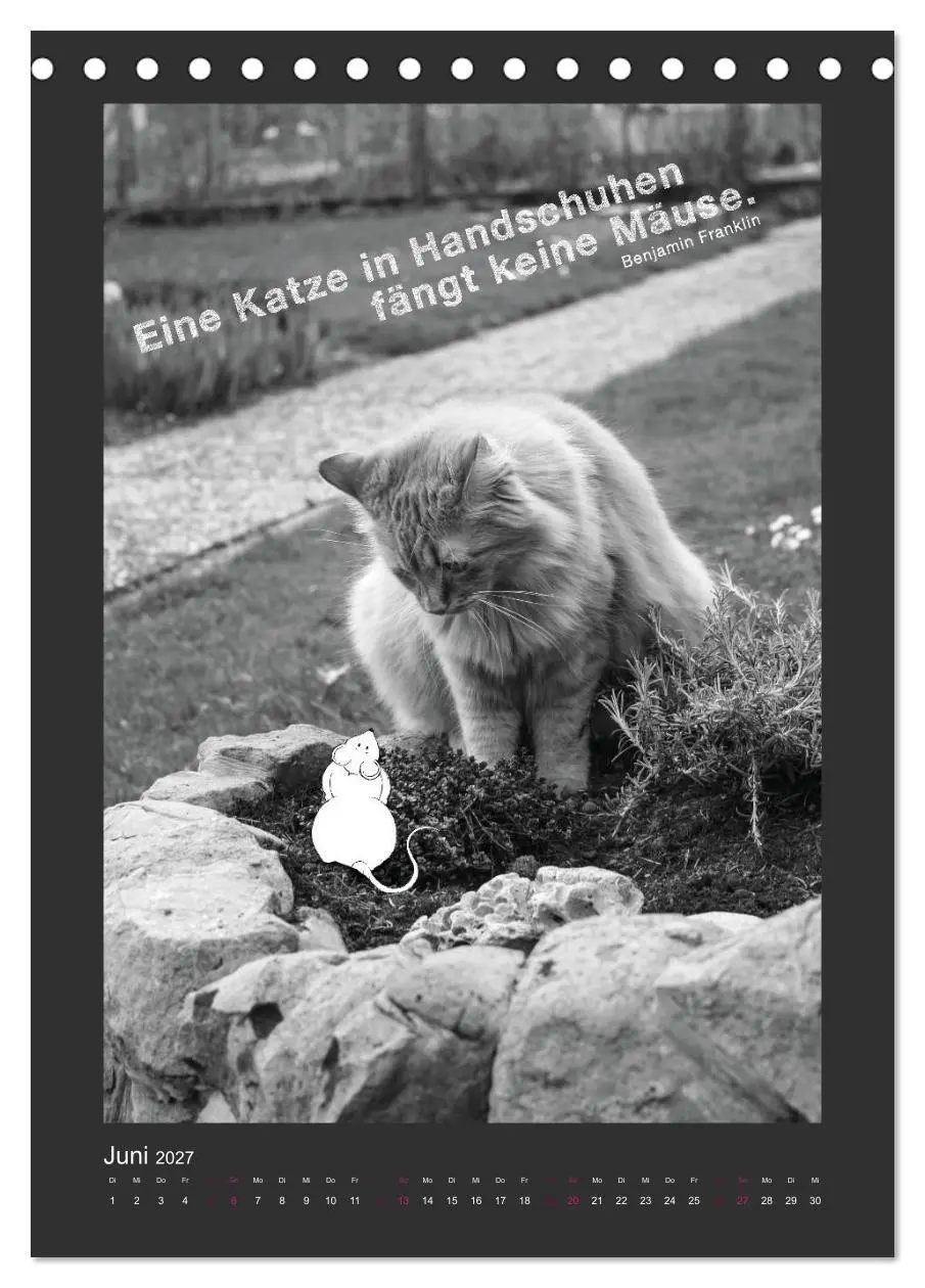 Bild: 9783594145364 | Katz &amp; Maus (Tischkalender 2027 DIN A5 hoch), CALVENDO Monatskalender