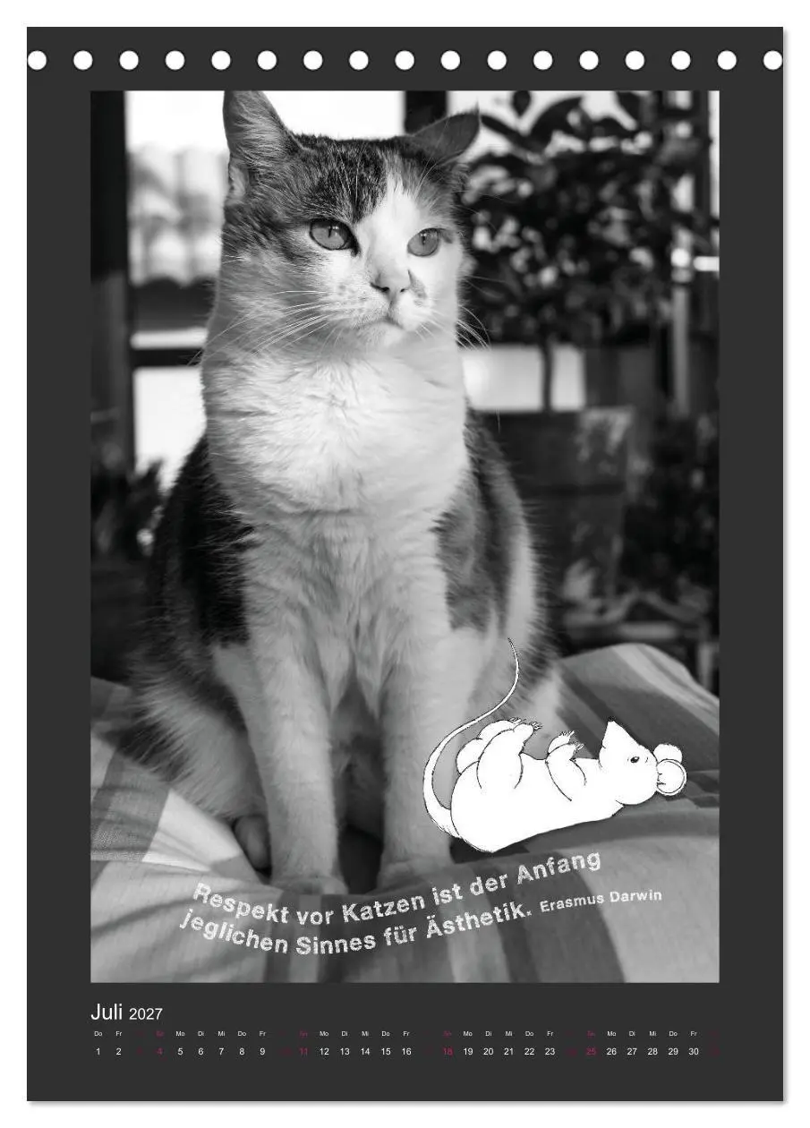 Bild: 9783594145364 | Katz &amp; Maus (Tischkalender 2027 DIN A5 hoch), CALVENDO Monatskalender