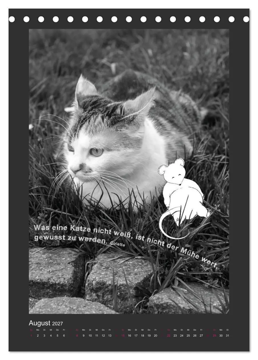 Bild: 9783594145364 | Katz &amp; Maus (Tischkalender 2027 DIN A5 hoch), CALVENDO Monatskalender