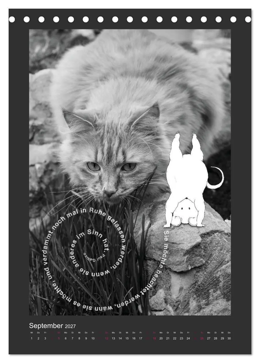 Bild: 9783594145364 | Katz &amp; Maus (Tischkalender 2027 DIN A5 hoch), CALVENDO Monatskalender