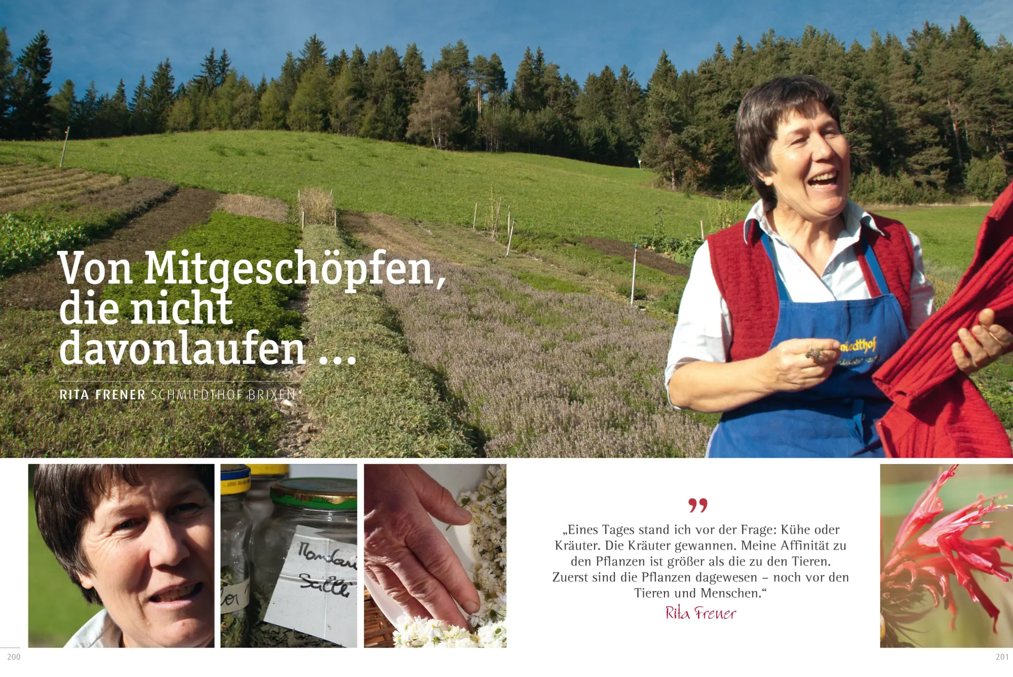 Bild: 9783706625364 | Südtiroler Kräuterfrauen | Ihr Leben, ihr Heilwissen, ihre Rezepte