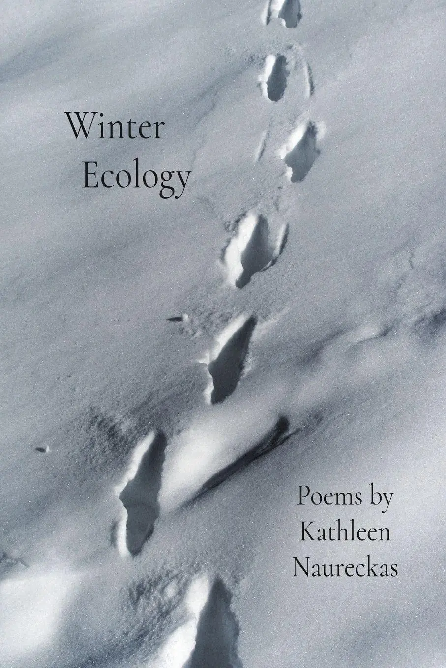 Cover: 9798888385364 | Winter Ecology | Kathleen Naureckas | Taschenbuch | Englisch | 2024