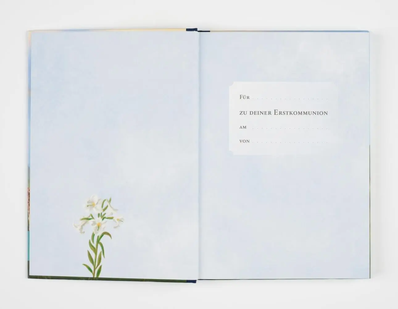 Bild: 9783522305464 | Meine Bibel zur Erstkommunion | Martin Polster | Buch | 152 S. | 2020