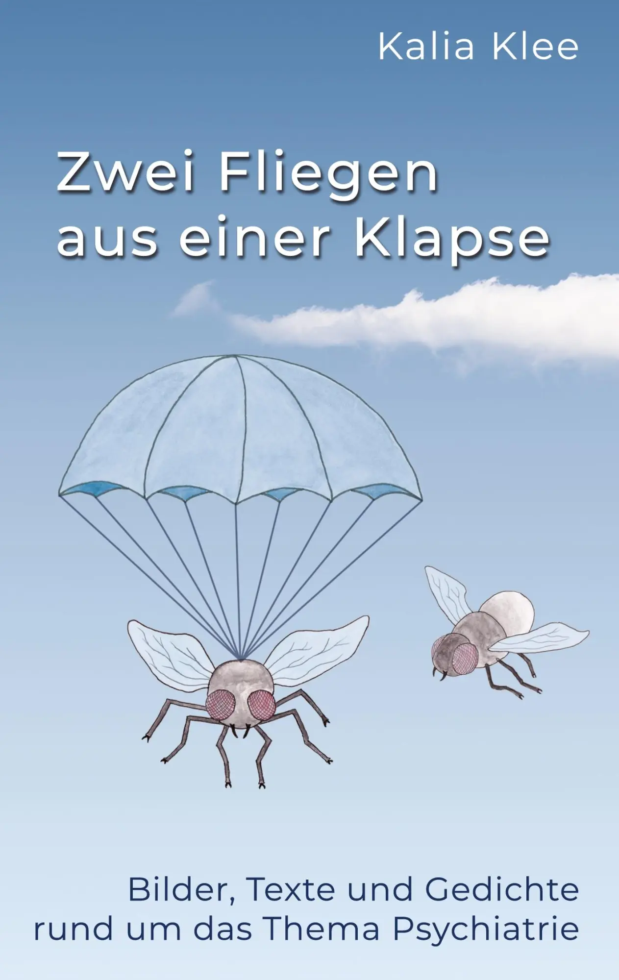 Cover: 9783384865564 | Zwei Fliegen aus einer Klapse | Kalia Klee | Buch | 64 S. | Deutsch