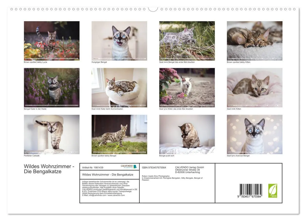 Bild: 9783457675564 | Wildes Wohnzimmer - Die Bengalkatze (hochwertiger Premium...