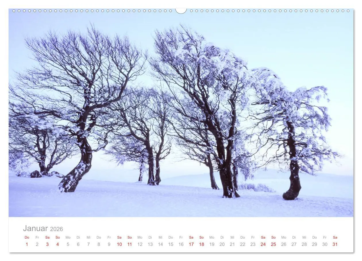 Bild: 9783457815564 | Der Schwarzwald Impressionen (Wandkalender 2026 DIN A2 quer),...