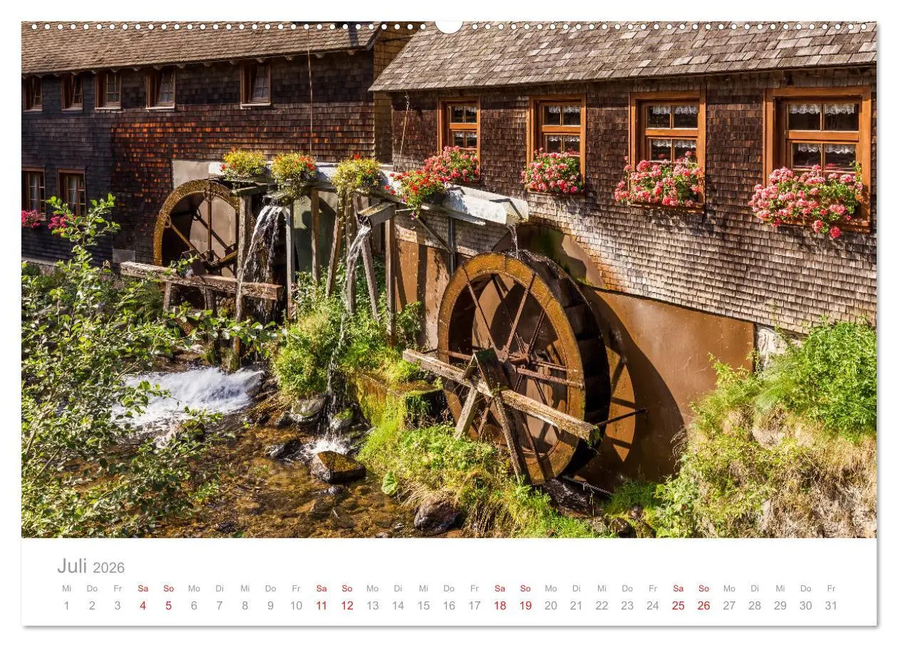 Bild: 9783457815564 | Der Schwarzwald Impressionen (Wandkalender 2026 DIN A2 quer),...