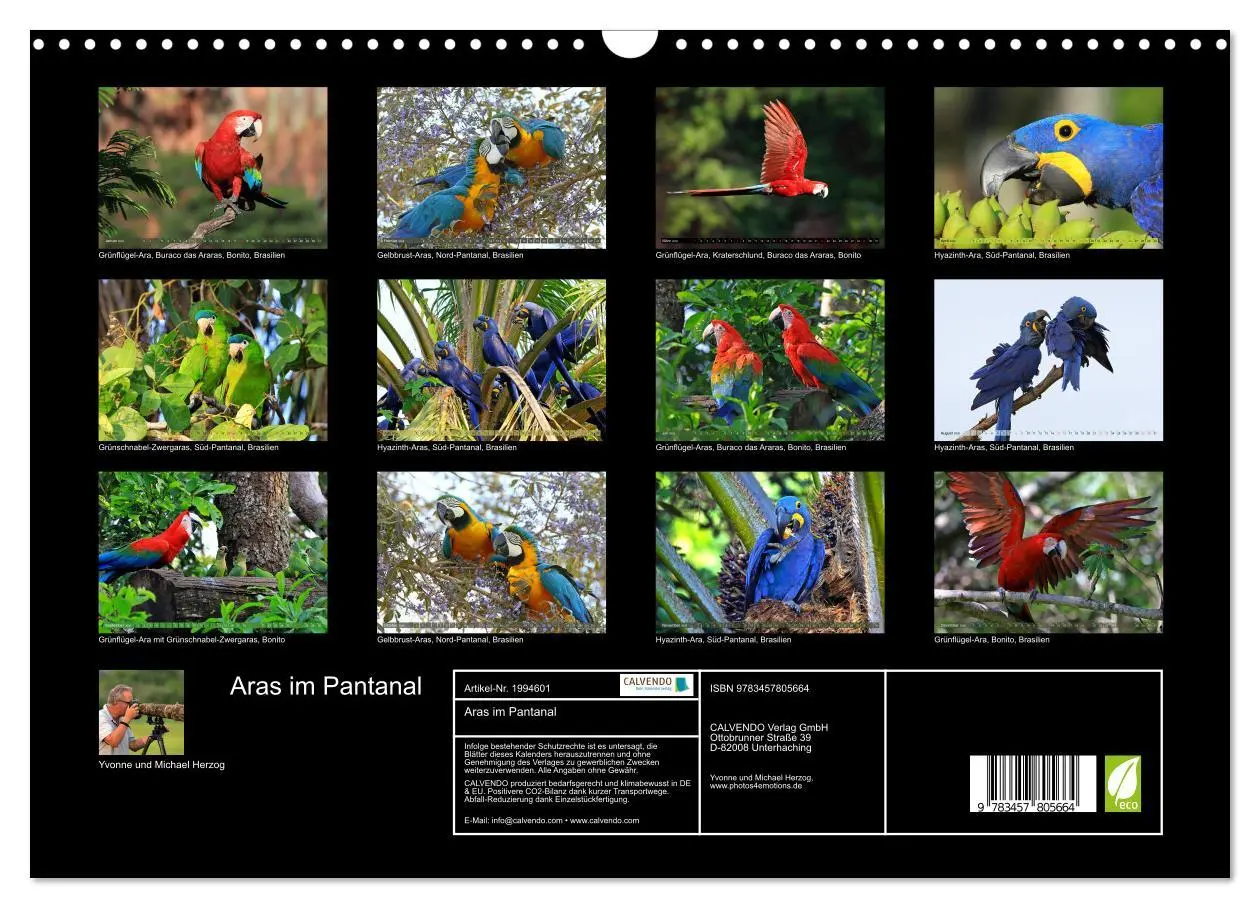 Bild: 9783457805664 | Aras im Pantanal (Wandkalender 2026 DIN A3 quer), CALVENDO...