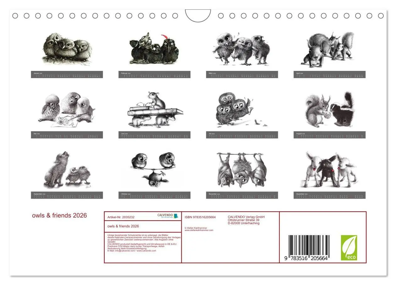 Bild: 9783516205664 | owls &amp; friends 2026 (Wandkalender 2026 DIN A4 quer), CALVENDO...
