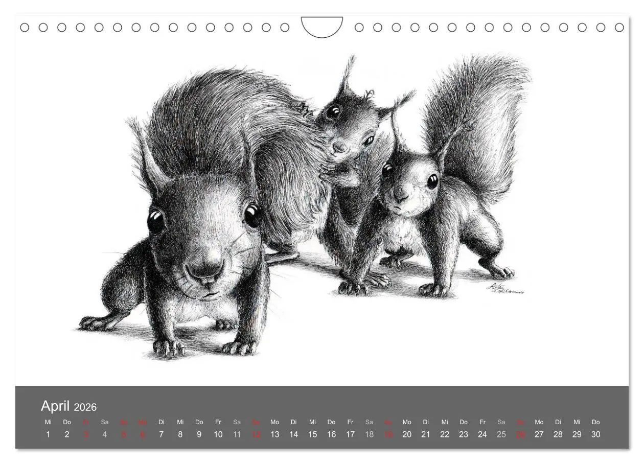 Bild: 9783516205664 | owls &amp; friends 2026 (Wandkalender 2026 DIN A4 quer), CALVENDO...