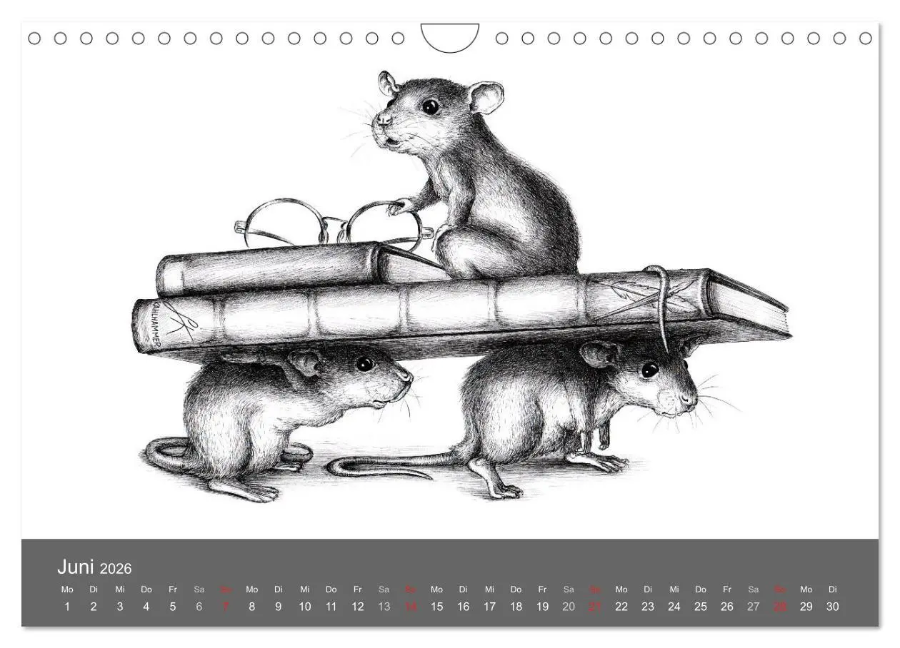 Bild: 9783516205664 | owls &amp; friends 2026 (Wandkalender 2026 DIN A4 quer), CALVENDO...
