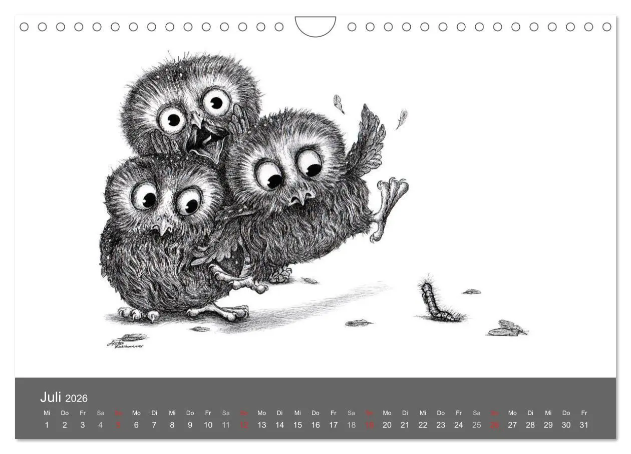 Bild: 9783516205664 | owls &amp; friends 2026 (Wandkalender 2026 DIN A4 quer), CALVENDO...