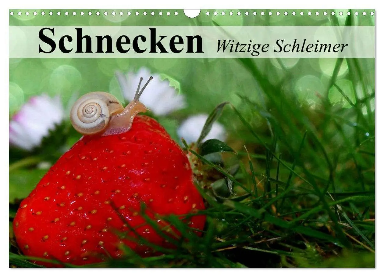 Cover: 9783516055764 | Schnecken. Witzige Schleimer (Wandkalender 2026 DIN A3 quer),...