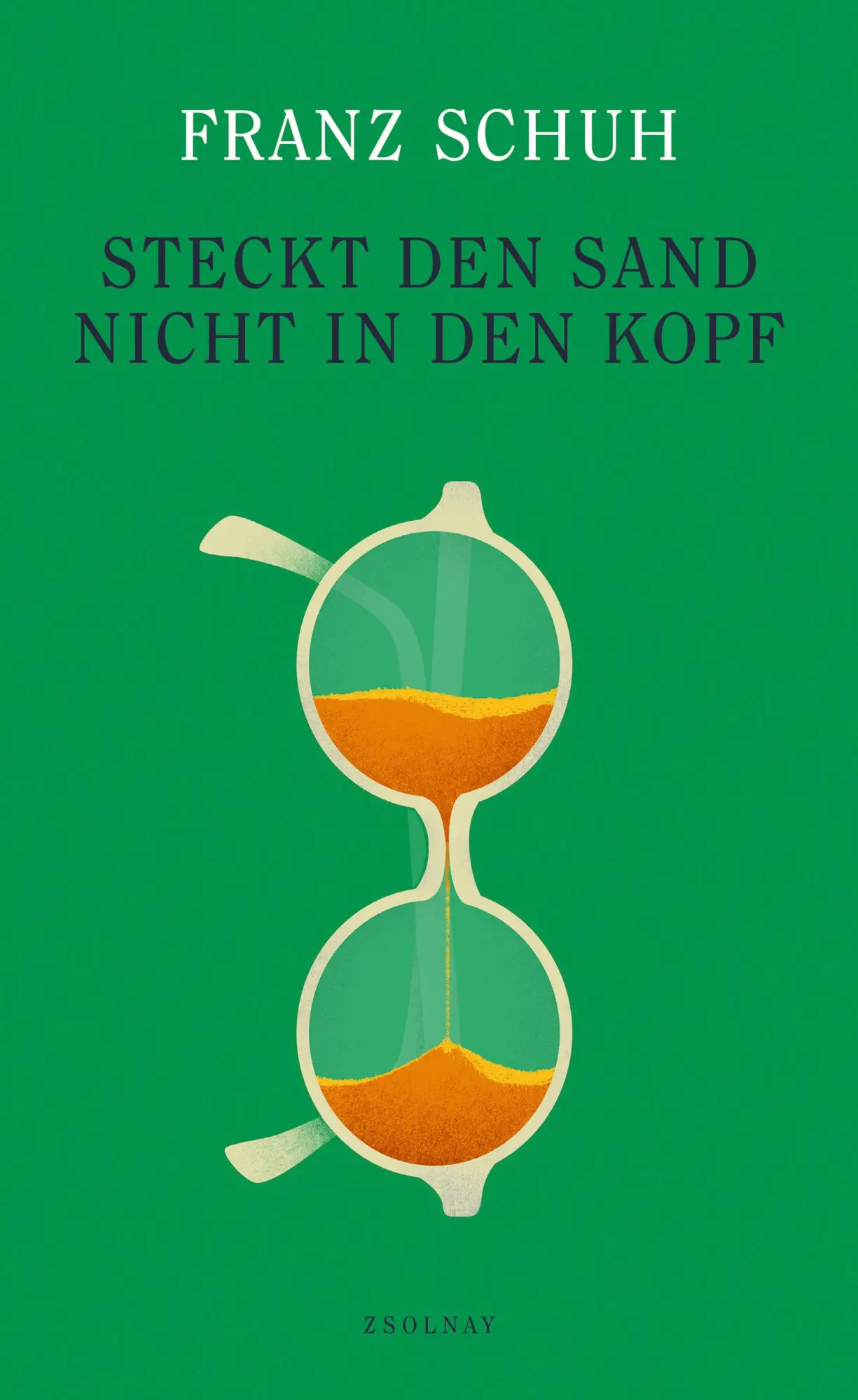 Cover: 9783552075764 | Steckt den Sand nicht in den Kopf | Franz Schuh | Buch | 288 S. | 2025