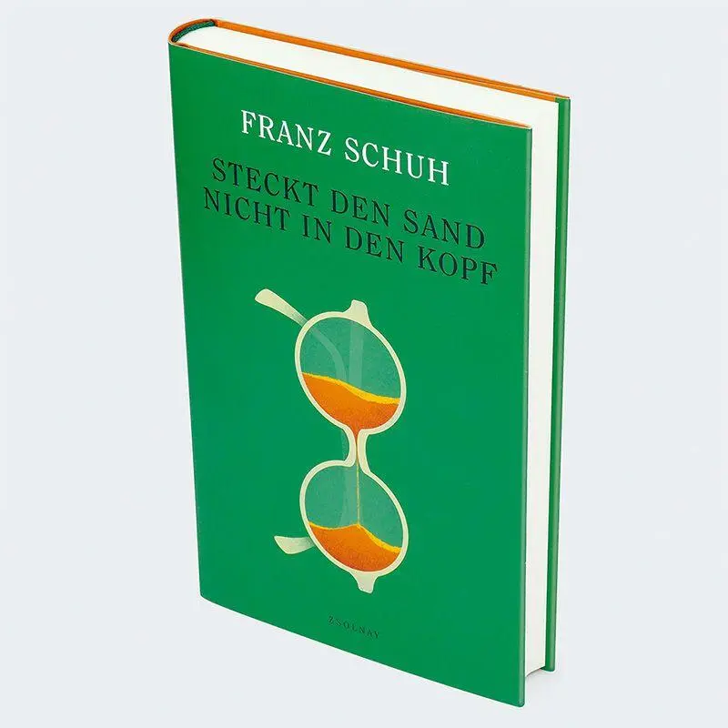 Bild: 9783552075764 | Steckt den Sand nicht in den Kopf | Franz Schuh | Buch | 288 S. | 2025