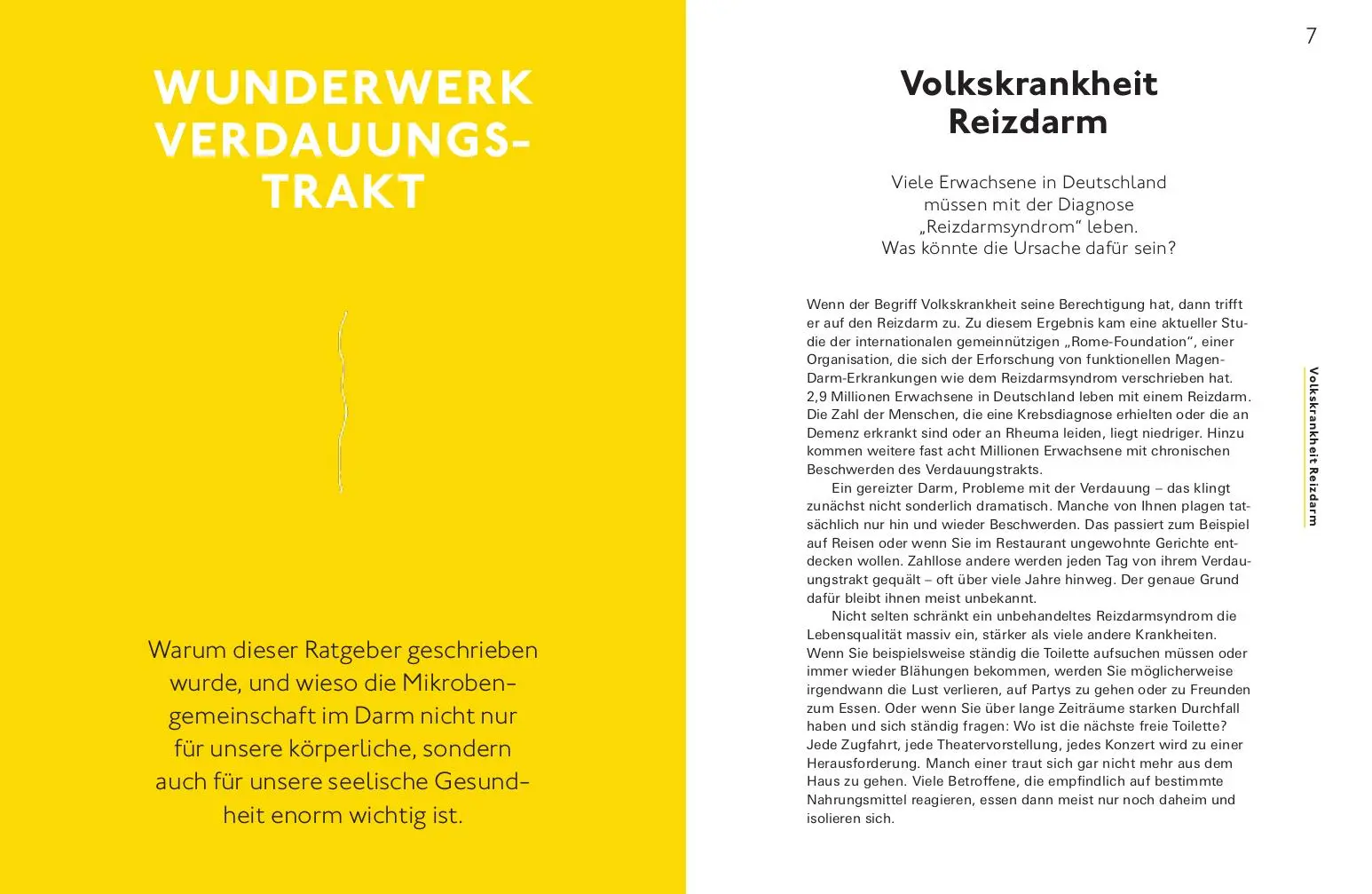 Bild: 9783747105764 | Bye bye, Reizdarm! | Eine Anleitung für mehr Wohlbefinden | Buch