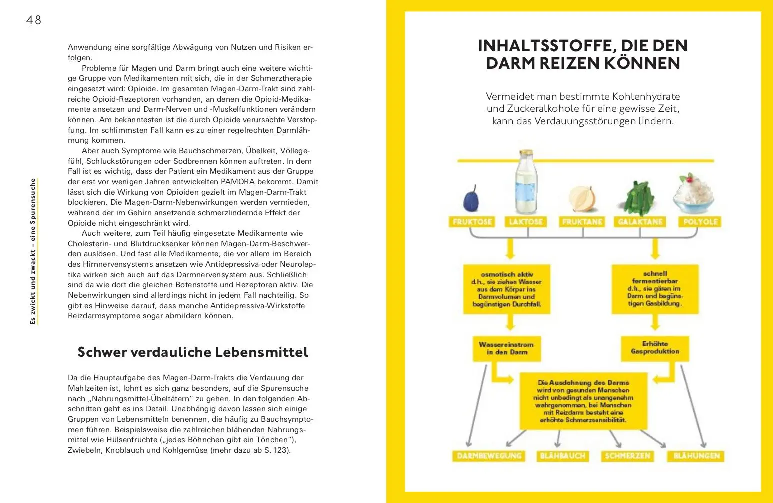 Bild: 9783747105764 | Bye bye, Reizdarm! | Eine Anleitung für mehr Wohlbefinden | Buch