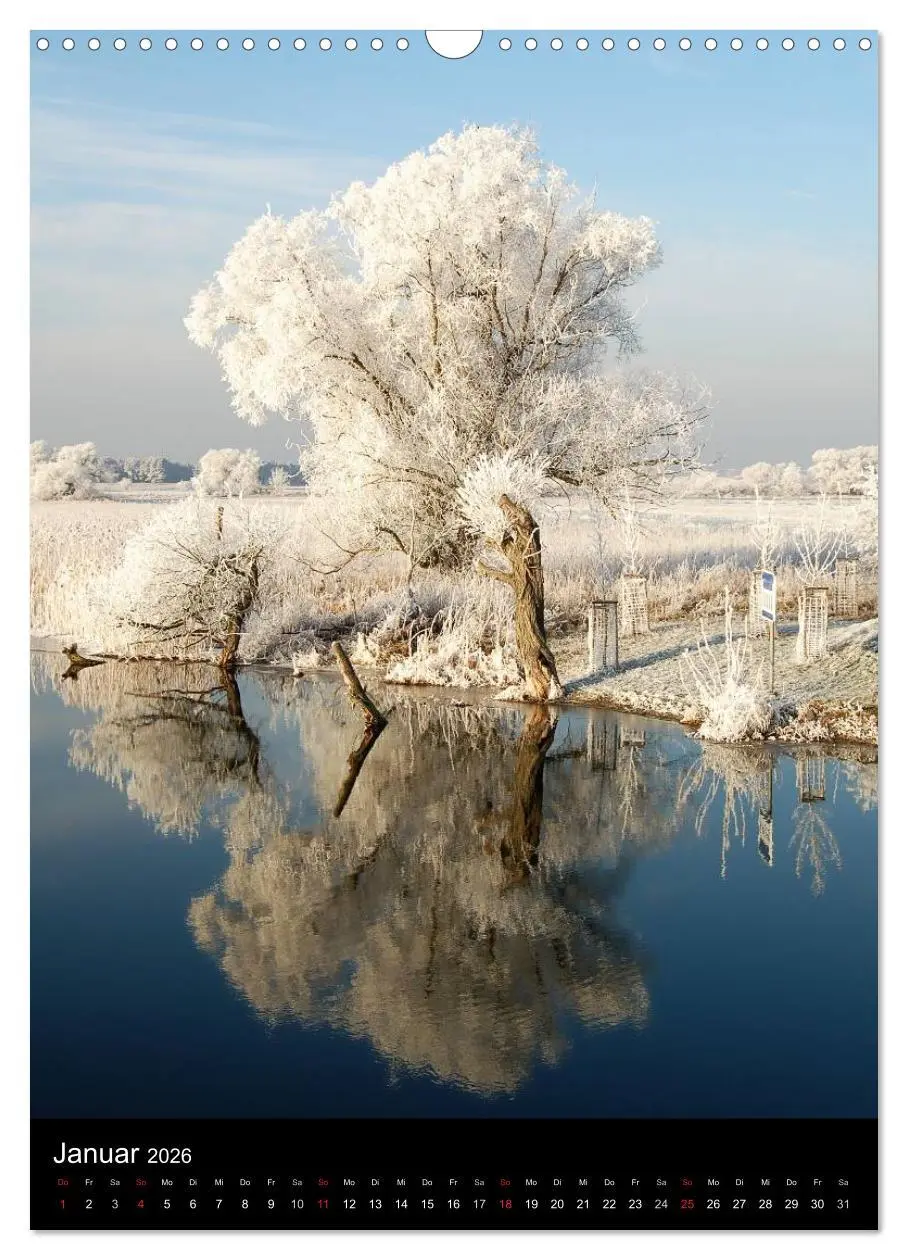 Bild: 9783516425864 | Land Brandenburg im Wechsel der Jahreszeiten (Wandkalender 2026 DIN...