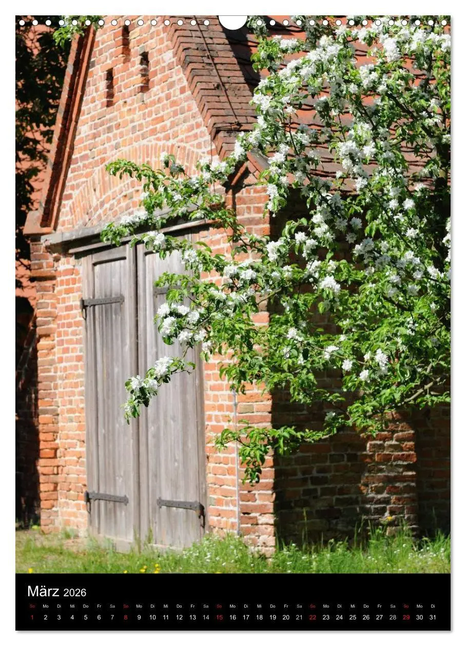Bild: 9783516425864 | Land Brandenburg im Wechsel der Jahreszeiten (Wandkalender 2026 DIN...