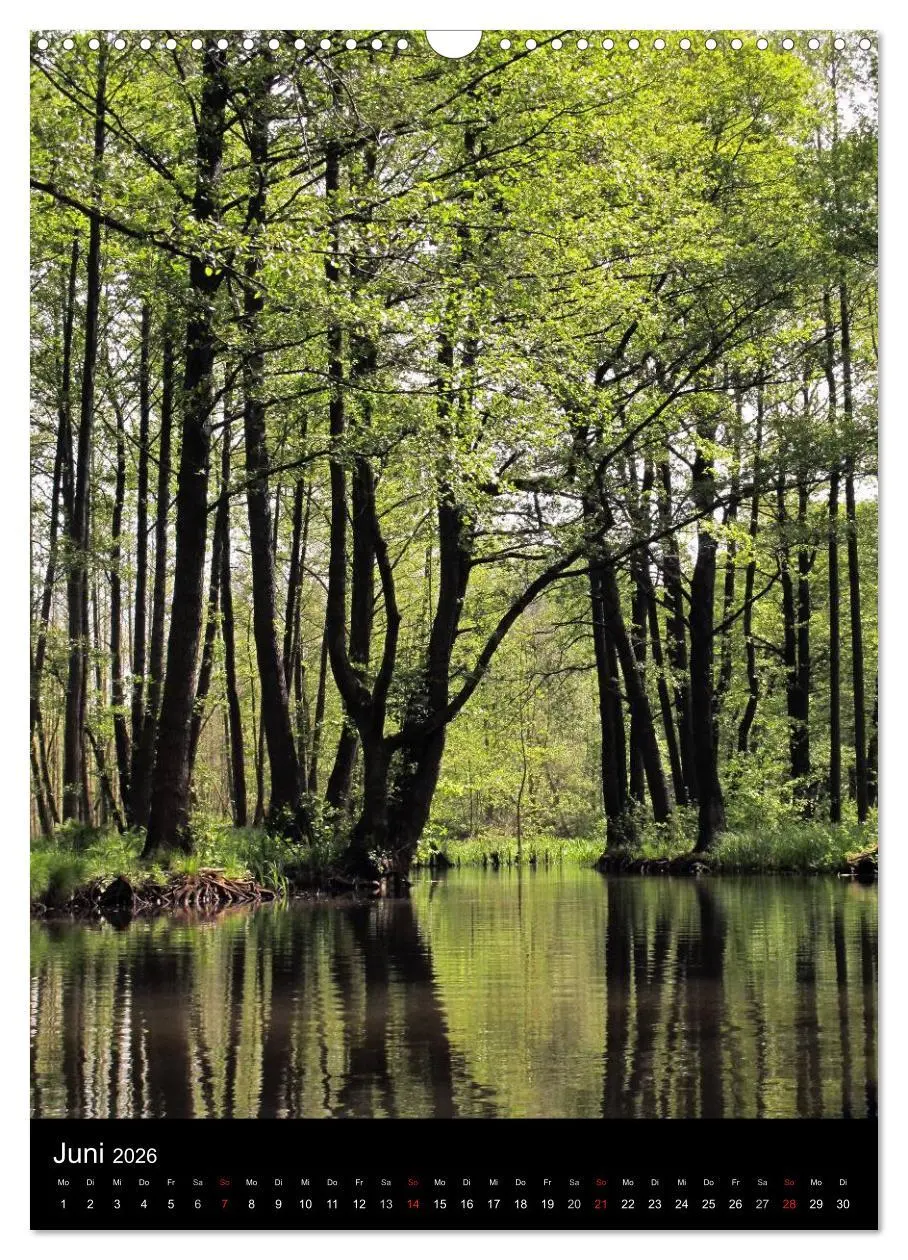 Bild: 9783516425864 | Land Brandenburg im Wechsel der Jahreszeiten (Wandkalender 2026 DIN...