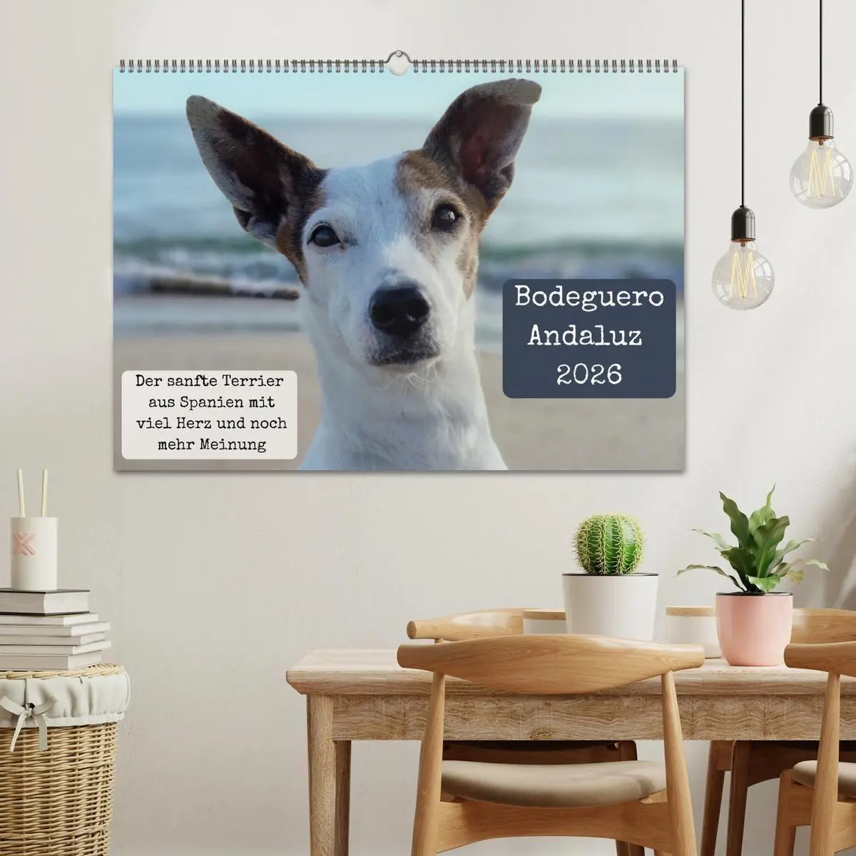 Bild: 9783516665864 | Ratonero Bodeguero Andaluz (Wandkalender 2026 DIN A2 quer),...