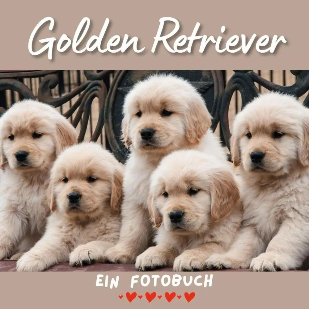 Cover: 9783750515864 | Golden Retriever | Bibi Hübsch | Taschenbuch | 42 S. | Deutsch | 2022