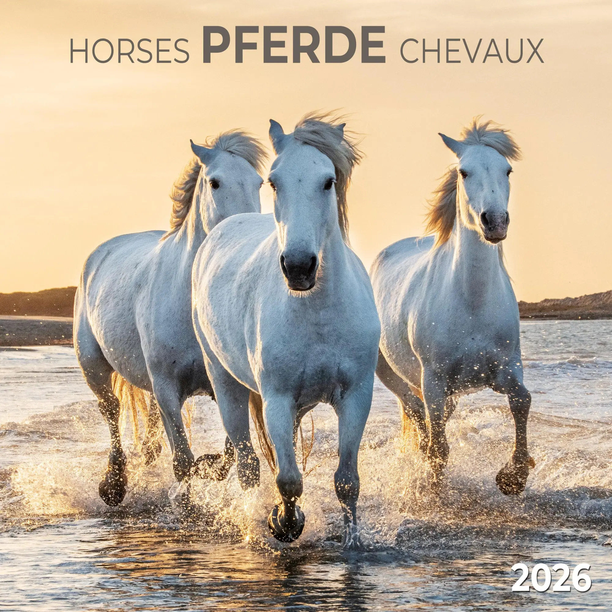 Cover: 9783959295864 | Pferde/Horses 2026 | Kalender 2026 | Kalender | Artwork Edition | 2026