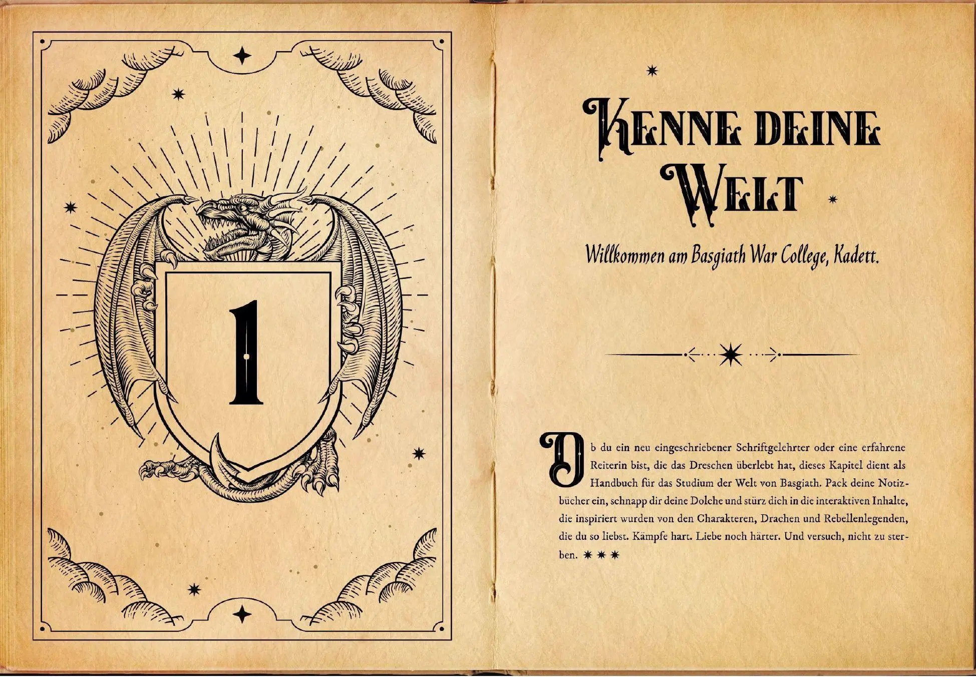Bild: 9783423285964 | Fourth Wing: The Rider Files - Das offizielle Activity- und...